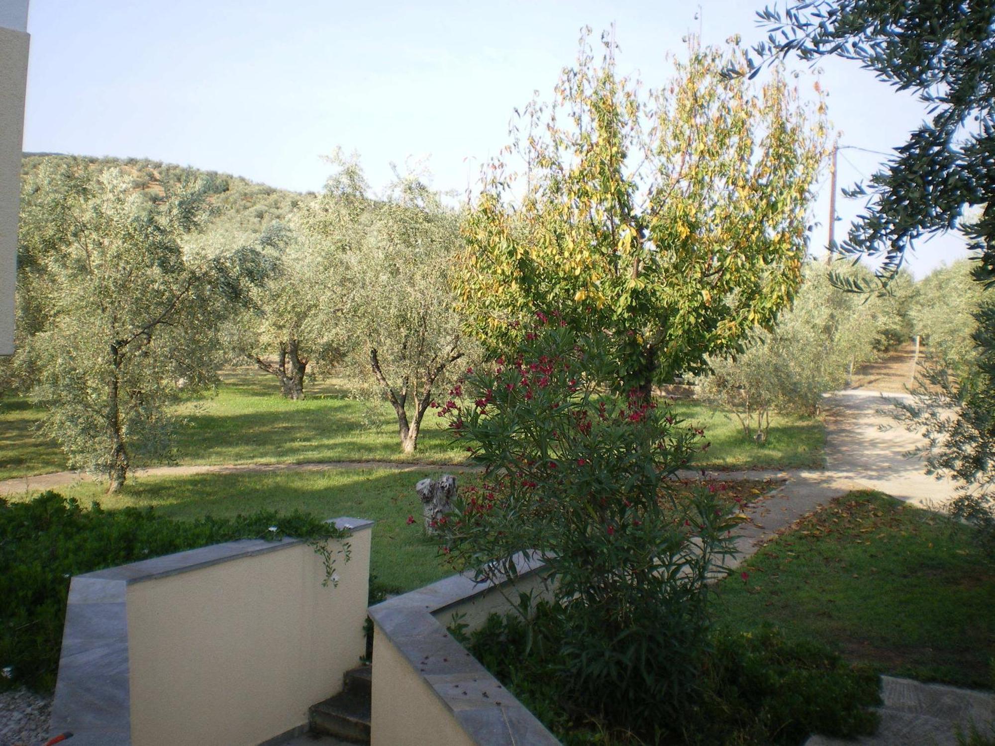 Villa Christina Amaliapoli Exterior photo